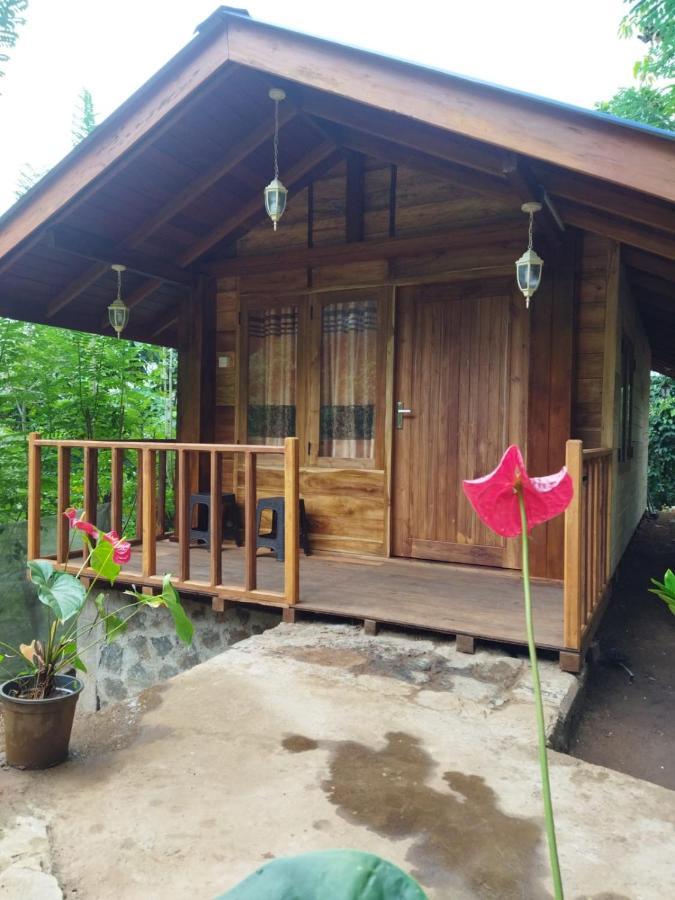 Diyaluma View Cotage Ξενοδοχείο Koslanda Εξωτερικό φωτογραφία