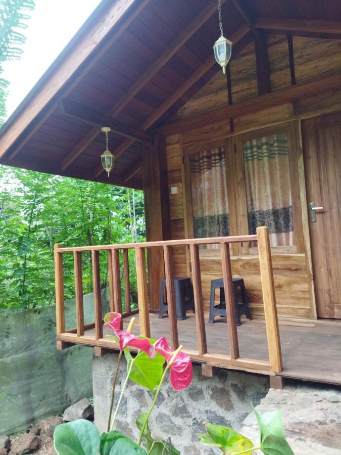 Diyaluma View Cotage Ξενοδοχείο Koslanda Εξωτερικό φωτογραφία