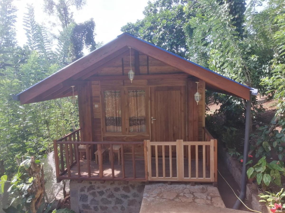 Diyaluma View Cotage Ξενοδοχείο Koslanda Εξωτερικό φωτογραφία